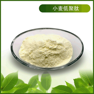 现货小麦肽小麦低聚肽小麦肽粉小麦提取物食品级供应食品级小麦低聚肽做固体饮料用肽含量75%小麦肽燕麦肽燕麦肽小分子活性肽小麦肽价格优惠欢迎订购质量保证量大优惠证件齐全