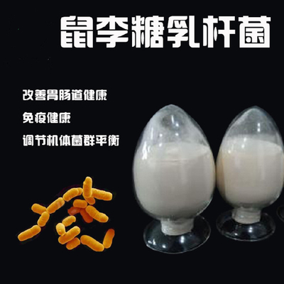 四菌复合 泡菜乳酸菌 植物乳杆菌 鼠李糖乳杆菌 发酵 嗜酸 益生菌鼠李糖乳杆菌 乳酸菌粉 益生菌原料 益生菌粉 高活菌数 高稳定性鼠李糖乳杆菌100亿cfu/g