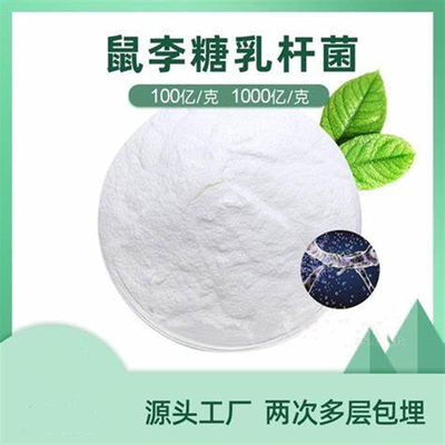 四菌复合 泡菜乳酸菌 植物乳杆菌 鼠李糖乳杆菌 发酵 嗜酸 益生菌鼠李糖乳杆菌 乳酸菌粉 益生菌原料 益生菌粉 高活菌数 高稳定性鼠李糖乳杆菌100亿cfu/g