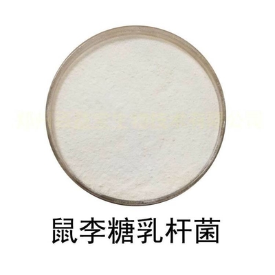 四菌复合 泡菜乳酸菌 植物乳杆菌 鼠李糖乳杆菌 发酵 嗜酸 益生菌鼠李糖乳杆菌 乳酸菌粉 益生菌原料 益生菌粉 高活菌数 高稳定性鼠李糖乳杆菌100亿cfu/g
