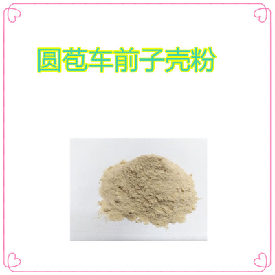 印度进口圆苞车前子壳 洋车前子壳天然膳食纤维 99%含量圆苞车前子壳 直销现货货源圆苞车前子壳粉膳食纤维洋车前子壳粉食品原料圆苞车前子壳植物粉价格优惠资质齐全现货