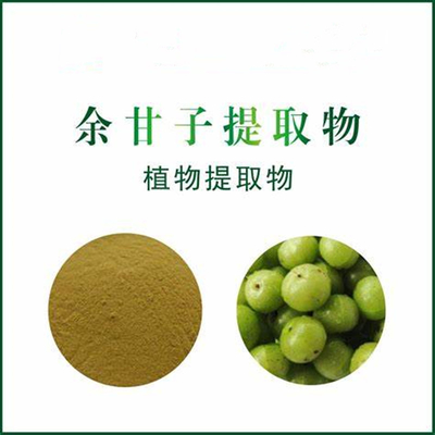 余甘子提取物水溶性余甘子粉99%余甘子萃取粉余甘子浸膏粉多规格余甘子提取物30:1 余甘子萃取余甘子厂家现货 保健食品原料 余甘子粉粉 余甘子多酚、厂家现货|包邮