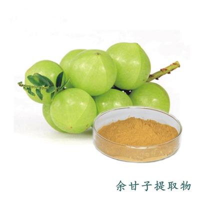余甘子提取物水溶性余甘子粉99%余甘子萃取粉余甘子浸膏粉多规格余甘子提取物30:1 余甘子萃取余甘子厂家现货 保健食品原料 余甘子粉粉 余甘子多酚、厂家现货|包邮