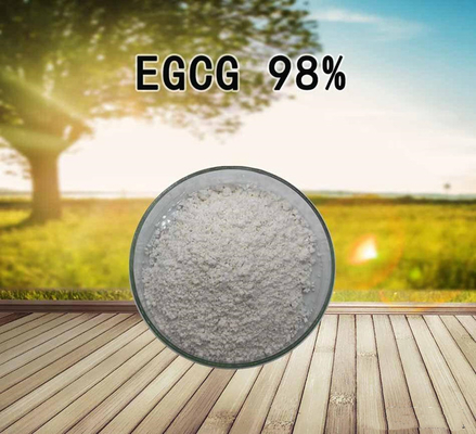 EGCG 98% 绿茶提取物 表没食子儿茶素没食子酸酯 食品级 营养强化剂 表没食子儿茶素没食子酸酯  绿茶提取物价格优惠厂家直销98EGCG表没食子儿茶素没食子酸酯