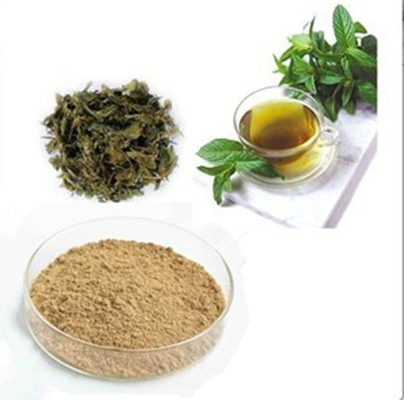 EGCG 98% 绿茶提取物 表没食子儿茶素没食子酸酯 食品级 营养强化剂 表没食子儿茶素没食子酸酯  绿茶提取物价格优惠厂家直销98EGCG表没食子儿茶素没食子酸酯