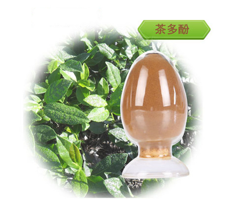 食品级茶多酚98% EGCG45% 绿茶提取物 绿茶多酚 厂家现货品质保证茶多酚现货供应茶多酚食品级绿茶提取物茶多酚量大从优厂家直销茶多酚茶多酚含儿茶素天然绿茶粉
