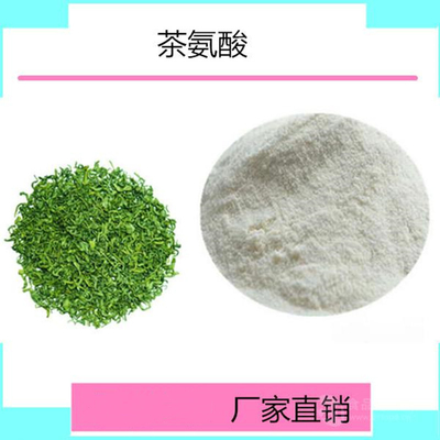 茶氨酸  L-茶氨酸 左旋茶氨酸 99%绿茶提取物 L-茶氨酸 供应L-茶氨酸 营养强化增补剂氨基酸 茶氨酸营养增补剂 食品级 L-茶氨酸 茶氨酸 量大从优现货