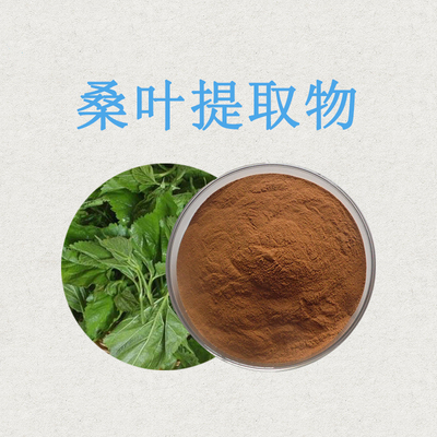 桑叶提取物 10%高含量DNJ 桑叶1-脱氧野尻霉素厂家现货桑叶提取物10：1 醇提 纯粉 DNJ 规格齐全 DNJ2% 桑叶提取物 1-脱氧野尻霉素 另有5% 10% 厂家直销现货供应