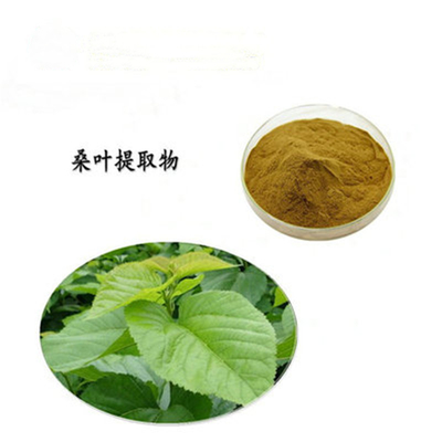 桑叶提取物 10%高含量DNJ 桑叶1-脱氧野尻霉素厂家现货桑叶提取物10：1 醇提 纯粉 DNJ 规格齐全 DNJ2% 桑叶提取物 1-脱氧野尻霉素 另有5% 10% 厂家直销现货供应