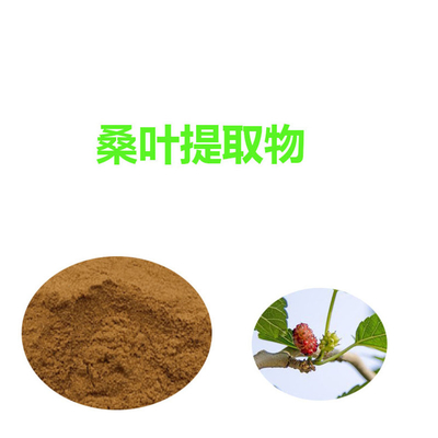 桑叶提取物 10%高含量DNJ 桑叶1-脱氧野尻霉素厂家现货桑叶提取物10：1 醇提 纯粉 DNJ 规格齐全 DNJ2% 桑叶提取物 1-脱氧野尻霉素 另有5% 10% 厂家直销现货供应
